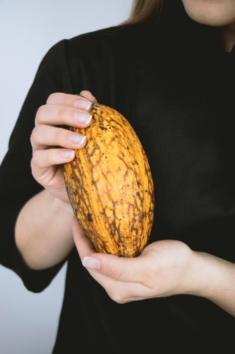 Meet Daniëlle the cacao expert