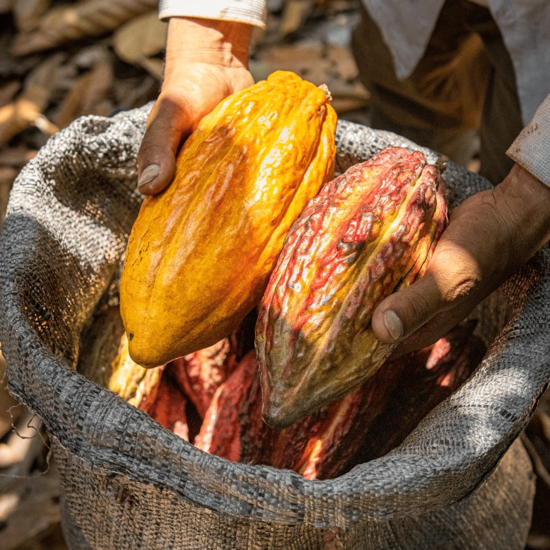 Qu'est-ce que le commerce direct ?-crop